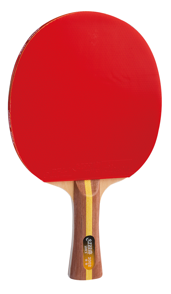 DHS table tennis bat pre-made H3002  - DXES013-1