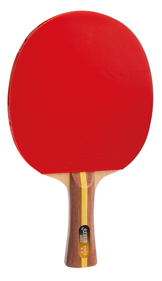 DHS table tennis bat pre-made H2002  - DXES017-1
